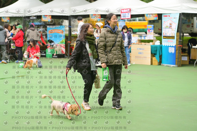 2024第六屆奔跑吧!毛小孩公益路跑