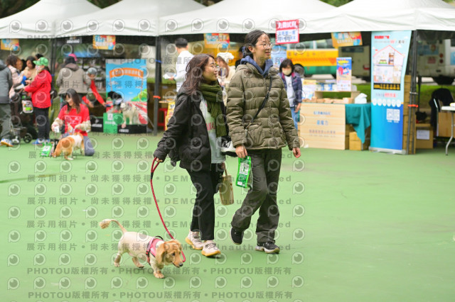 2024第六屆奔跑吧!毛小孩公益路跑