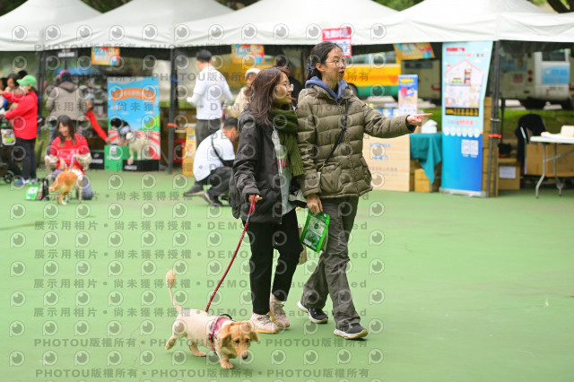 2024第六屆奔跑吧!毛小孩公益路跑