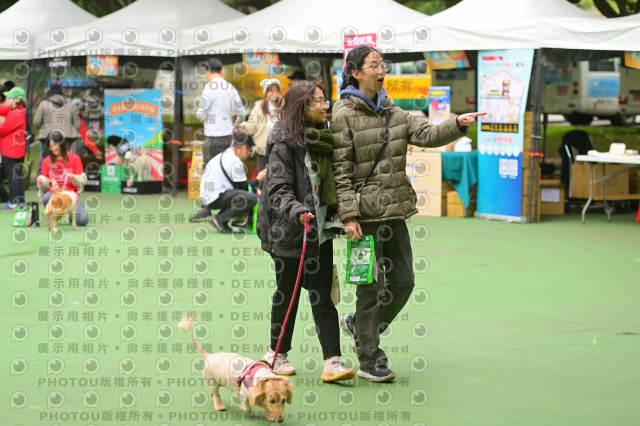 2024第六屆奔跑吧!毛小孩公益路跑