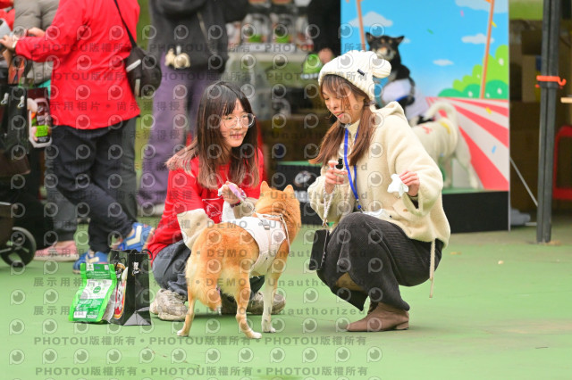 2024第六屆奔跑吧!毛小孩公益路跑