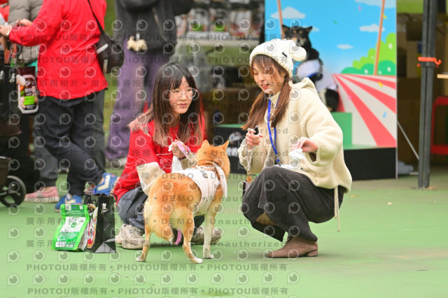 2024第六屆奔跑吧!毛小孩公益路跑