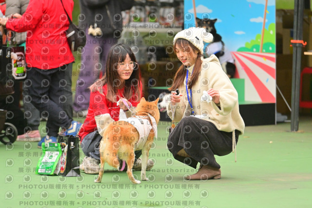 2024第六屆奔跑吧!毛小孩公益路跑