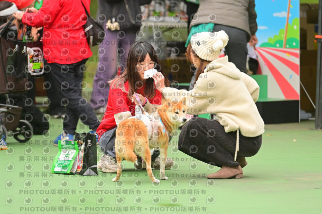 2024第六屆奔跑吧!毛小孩公益路跑