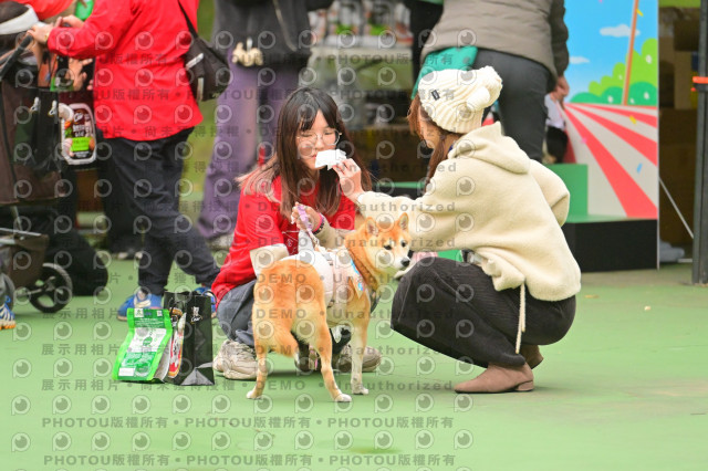 2024第六屆奔跑吧!毛小孩公益路跑