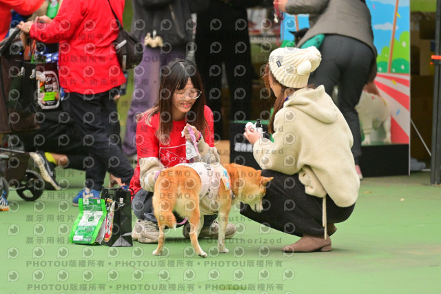 2024第六屆奔跑吧!毛小孩公益路跑