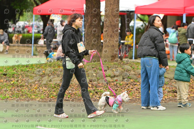 2024第六屆奔跑吧!毛小孩公益路跑