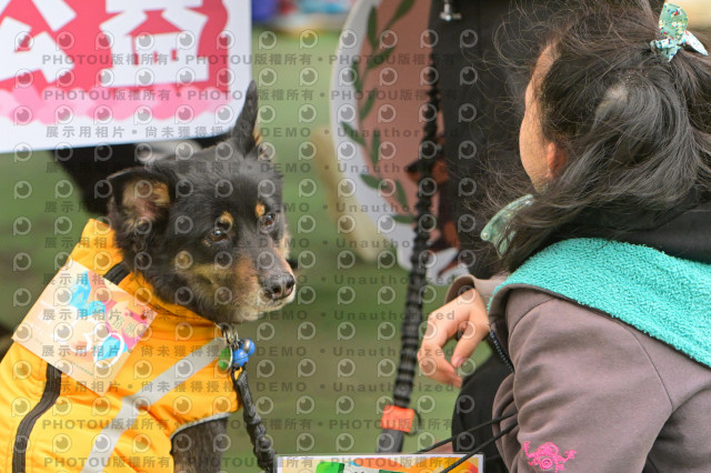 2024第六屆奔跑吧!毛小孩公益路跑
