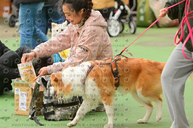 2024第六屆奔跑吧!毛小孩公益路跑