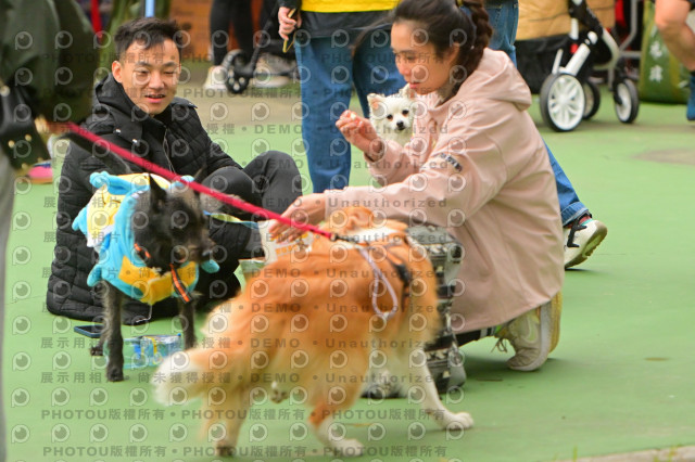 2024第六屆奔跑吧!毛小孩公益路跑