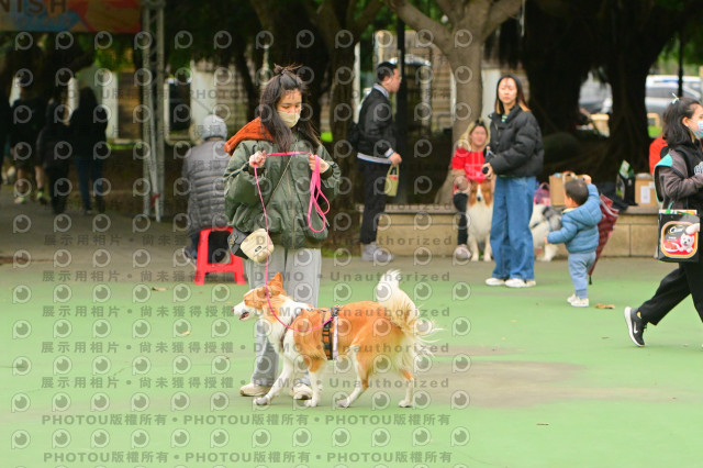 2024第六屆奔跑吧!毛小孩公益路跑