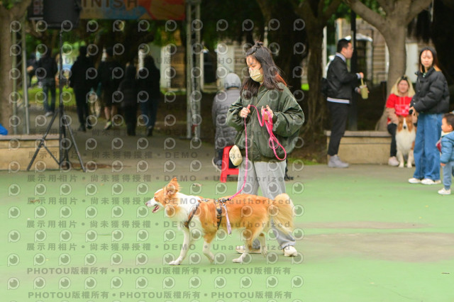 2024第六屆奔跑吧!毛小孩公益路跑
