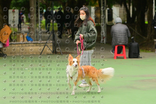 2024第六屆奔跑吧!毛小孩公益路跑