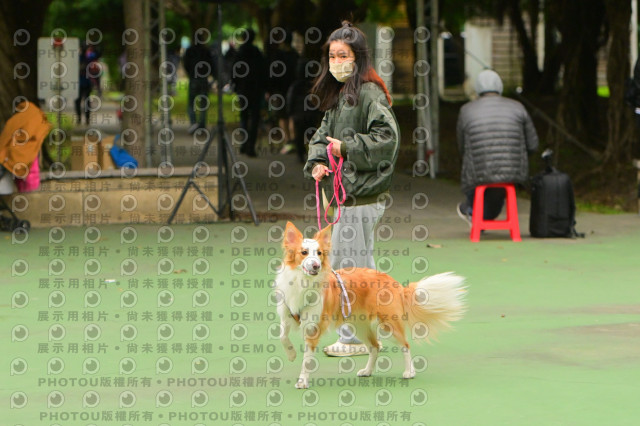 2024第六屆奔跑吧!毛小孩公益路跑