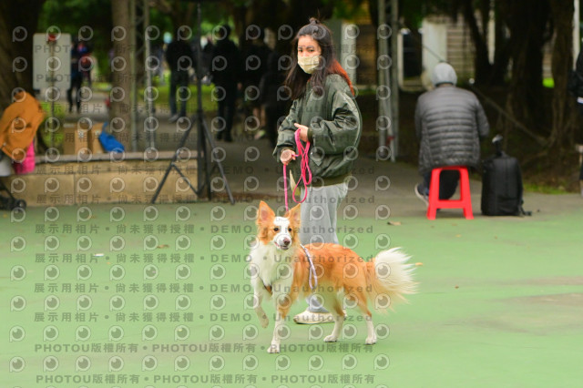 2024第六屆奔跑吧!毛小孩公益路跑