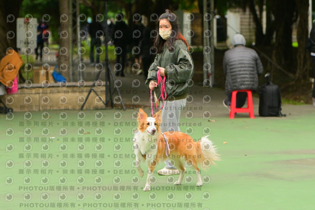 2024第六屆奔跑吧!毛小孩公益路跑