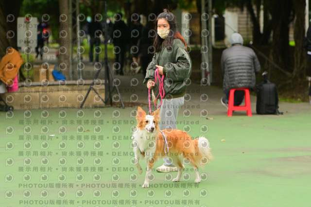 2024第六屆奔跑吧!毛小孩公益路跑