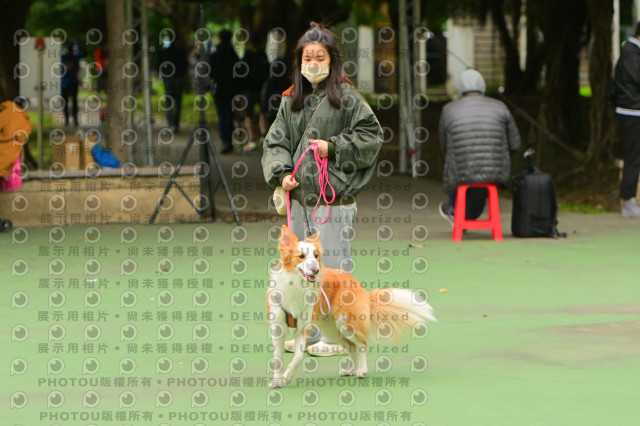 2024第六屆奔跑吧!毛小孩公益路跑