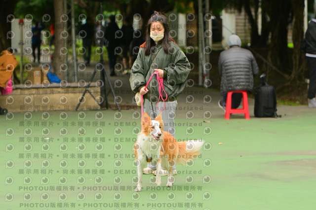 2024第六屆奔跑吧!毛小孩公益路跑