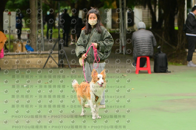 2024第六屆奔跑吧!毛小孩公益路跑
