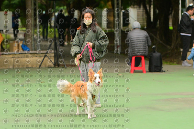 2024第六屆奔跑吧!毛小孩公益路跑