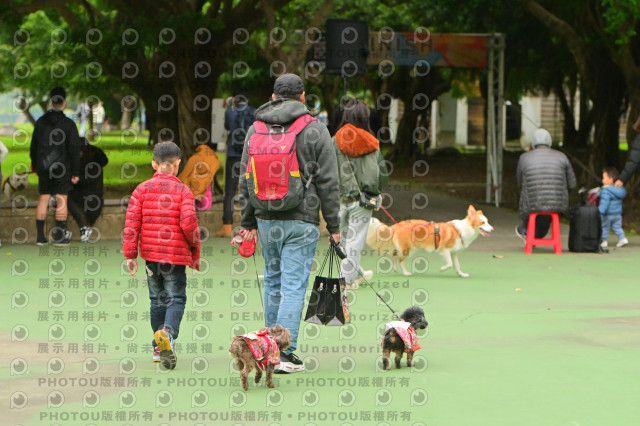 2024第六屆奔跑吧!毛小孩公益路跑