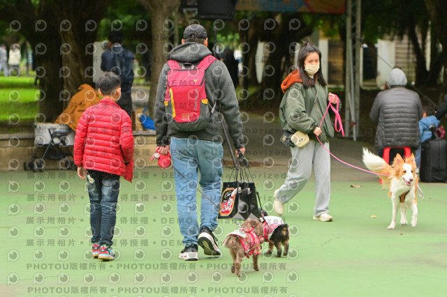 2024第六屆奔跑吧!毛小孩公益路跑