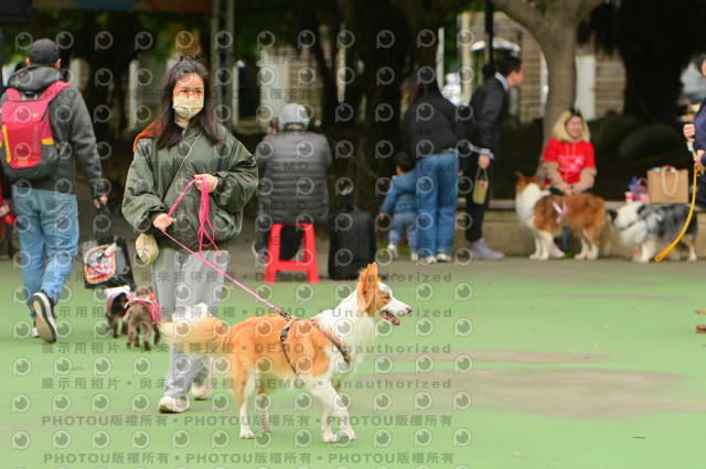 2024第六屆奔跑吧!毛小孩公益路跑