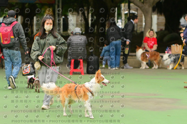 2024第六屆奔跑吧!毛小孩公益路跑
