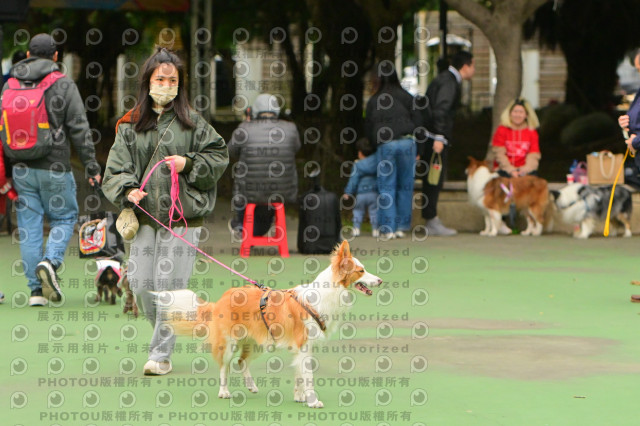 2024第六屆奔跑吧!毛小孩公益路跑