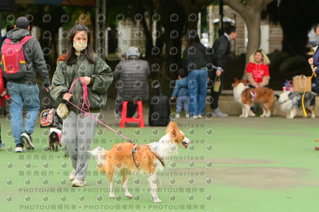 2024第六屆奔跑吧!毛小孩公益路跑