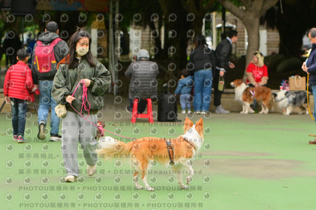 2024第六屆奔跑吧!毛小孩公益路跑