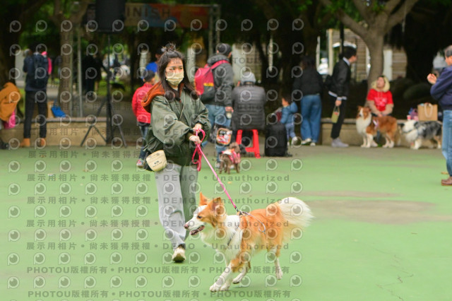 2024第六屆奔跑吧!毛小孩公益路跑