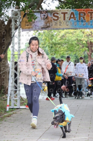 2024第六屆奔跑吧!毛小孩公益路跑