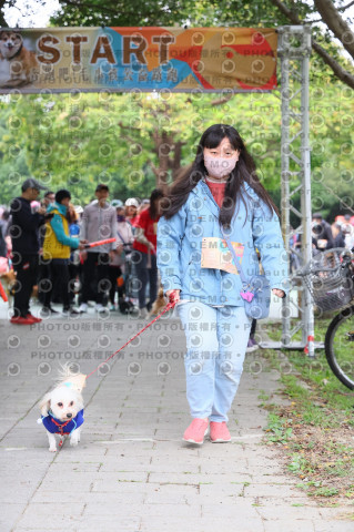 2024第六屆奔跑吧!毛小孩公益路跑