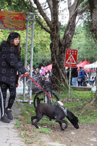 2024第六屆奔跑吧!毛小孩公益路跑