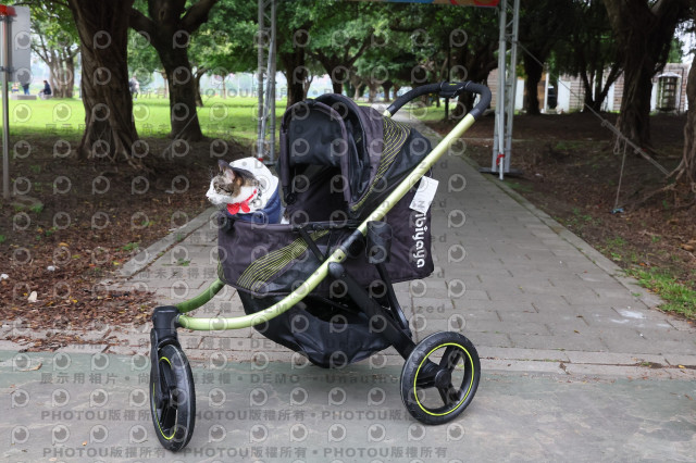 2024第六屆奔跑吧!毛小孩公益路跑