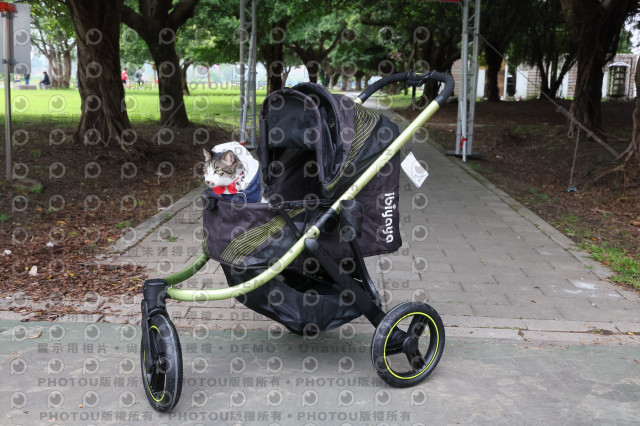 2024第六屆奔跑吧!毛小孩公益路跑