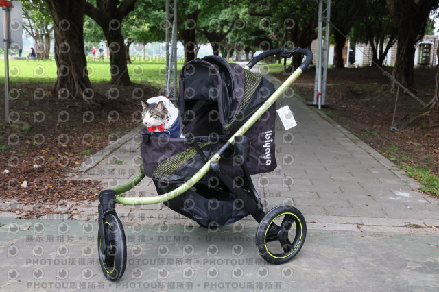 2024第六屆奔跑吧!毛小孩公益路跑