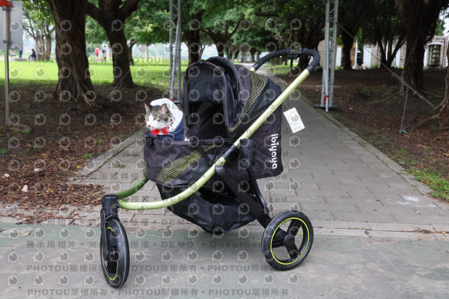 2024第六屆奔跑吧!毛小孩公益路跑