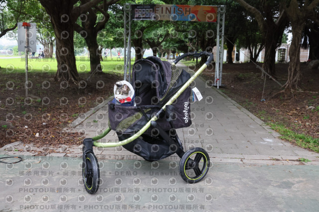 2024第六屆奔跑吧!毛小孩公益路跑