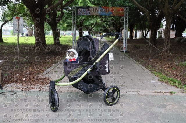 2024第六屆奔跑吧!毛小孩公益路跑