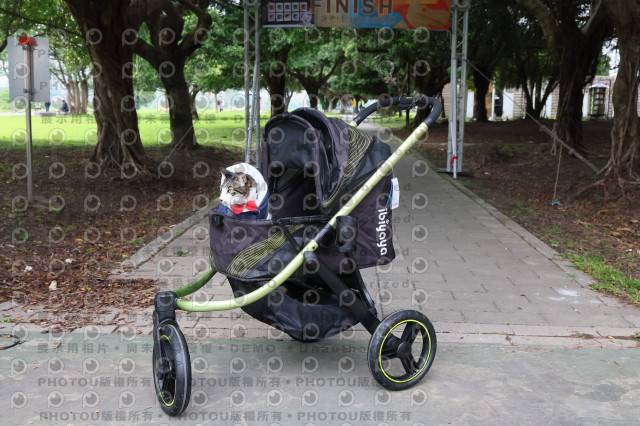 2024第六屆奔跑吧!毛小孩公益路跑