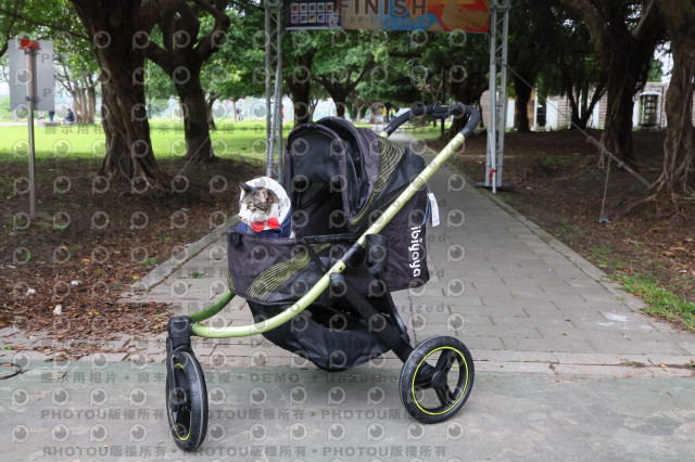 2024第六屆奔跑吧!毛小孩公益路跑