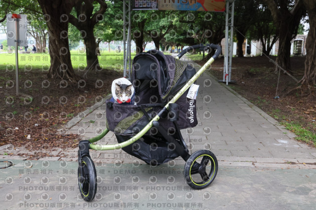 2024第六屆奔跑吧!毛小孩公益路跑