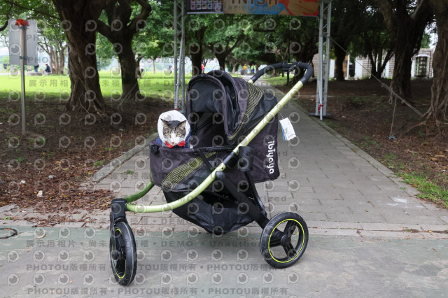 2024第六屆奔跑吧!毛小孩公益路跑