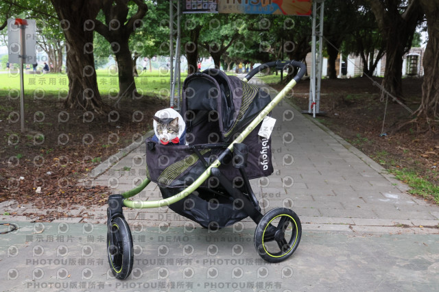 2024第六屆奔跑吧!毛小孩公益路跑