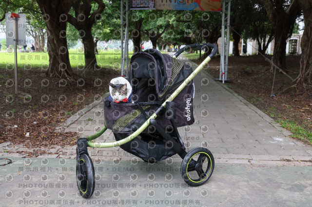 2024第六屆奔跑吧!毛小孩公益路跑