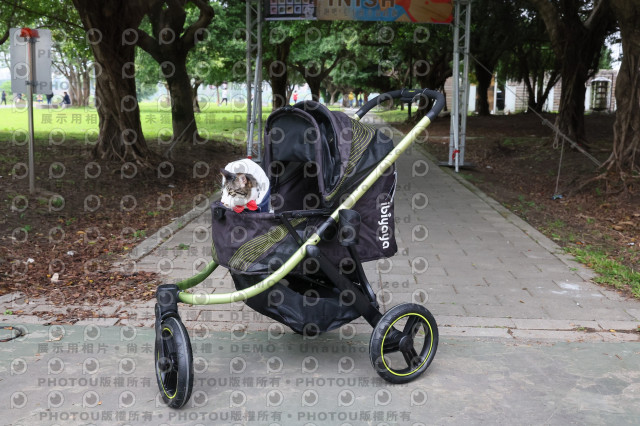 2024第六屆奔跑吧!毛小孩公益路跑