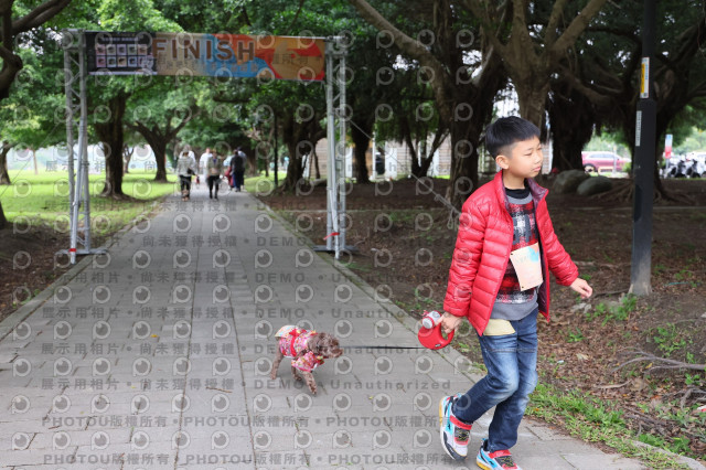 2024第六屆奔跑吧!毛小孩公益路跑
